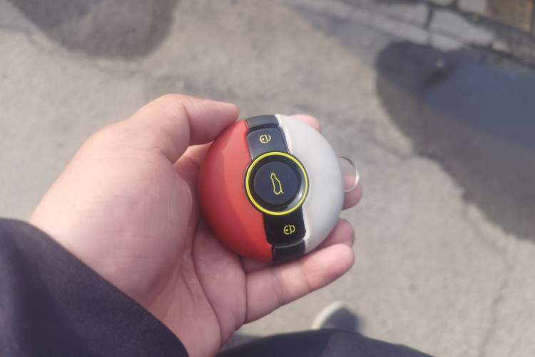 Used smart #1 2024 Dynamic Standard Edition Vehicle Key