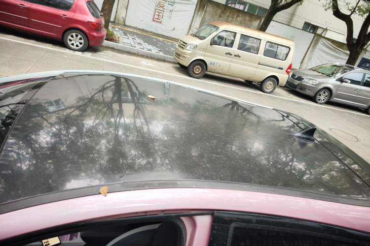 Used SOL E10X 2022 Flower Fairy Style Baby's Breath