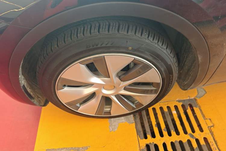 Used Tesla Model Y 2021 Standard Range Rear-Wheel Drive Version
