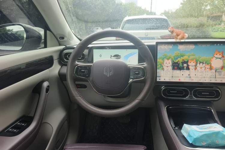 Used Leapmotor C11 2024 Range-Extended 300 LiDAR Edition Steering Wheel