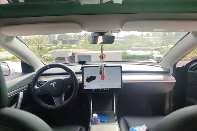 Used Tesla Model 3 2020 Revised Version Standard Range Rear-Wheel Drive – Upgraded Edition Headliner