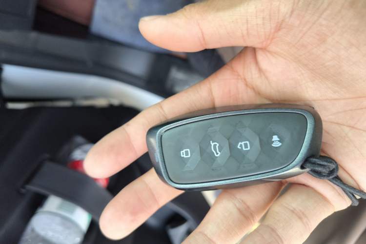 Used Haval H9 2024 2.0T Gasoline All-Wheel-Drive Extreme Edition