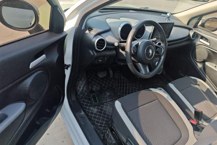 Used ORA Black Cat 2022 301km "Cute & Dynamic" Phosphate Iron Lithium
