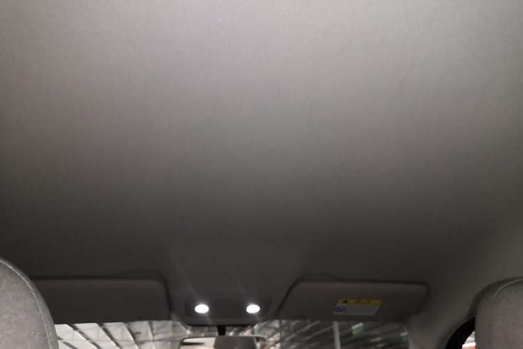Used Leapmotor T03 2023 403 Lite Edition Headliner