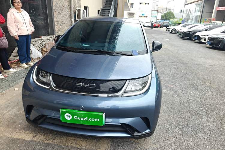 Used BYD Dolphin 2024 Honor Edition 420km Freedom Version