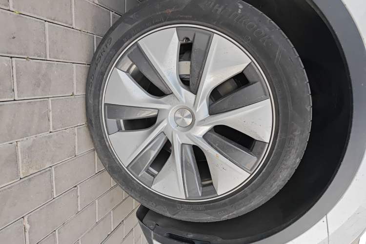 Used Tesla Model Y 2021 Standard Range Rear-Wheel Drive Version
