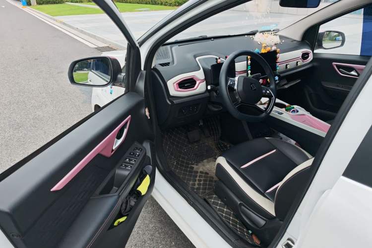 Used SOL E10X 2022 Flower Fairy Style Baby's Breath