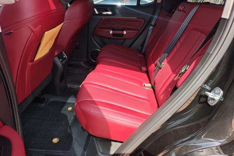 Used Tank 300 2024 2.0T Conqueror