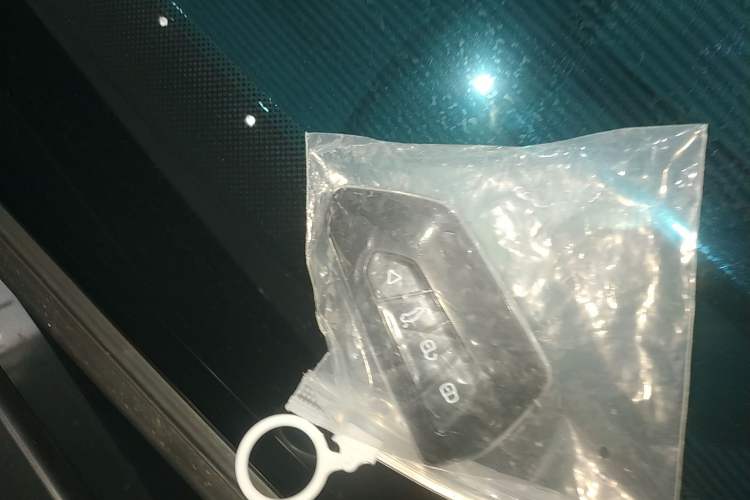 Used Geely Galaxy E8 2024 665 km Range Rear-Drive Starship Long-Range Version