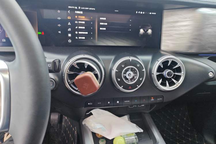 Used Tank 300 2024 2.0T Conqueror
