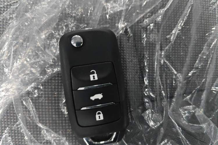 Used Qiyuan Lumin 2025 205 km Xiangqin Version