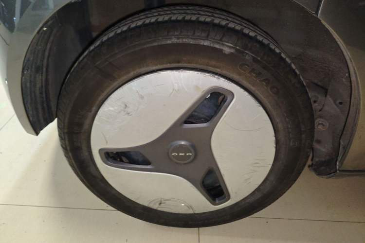 Used ORA White Cat 2020 401 km Long-Range Version