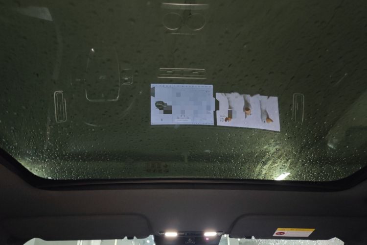 Used Li Auto L6 2024 Pro Model Headliner