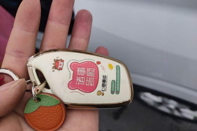 Used Roewe Clever 2022 311km QiQi BoBo Edition
