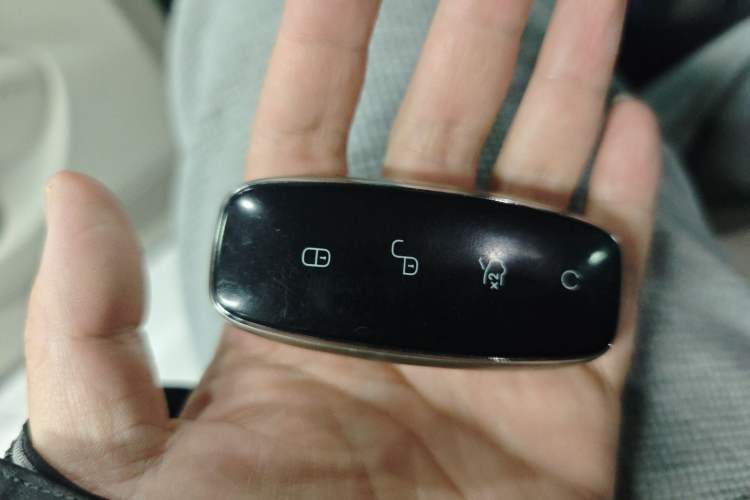 Used Denza D9 2022 DM-i 970 Four-Wheel Drive Prestige Model Interior 1