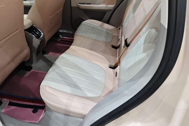 Used ORA Ballet Cat 2022 401 km Nutcracker Edition Left Rear Seat