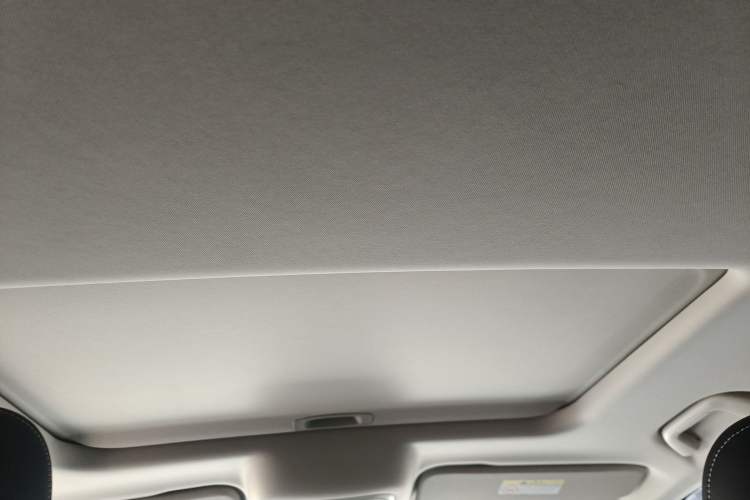 Used Tank 300 2024 2.0T Conqueror