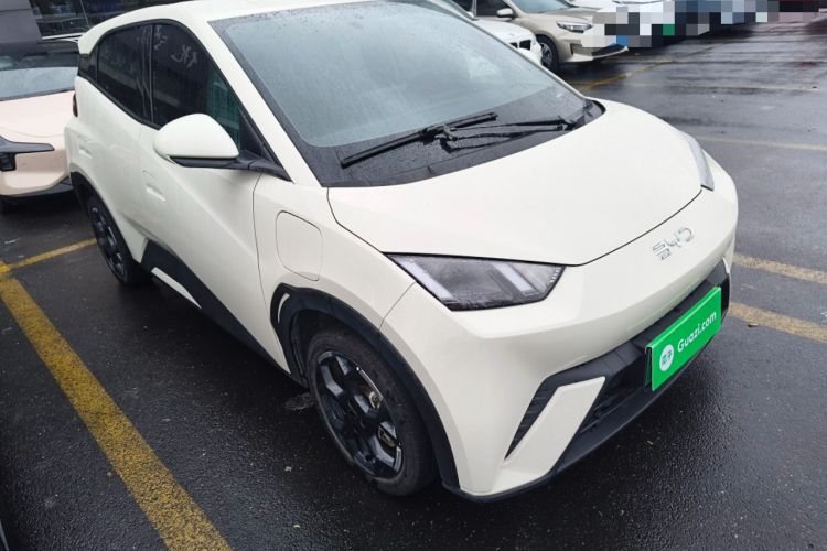 Used BYD Seagull 2025 305 km Free Version Front Right 45 Deg