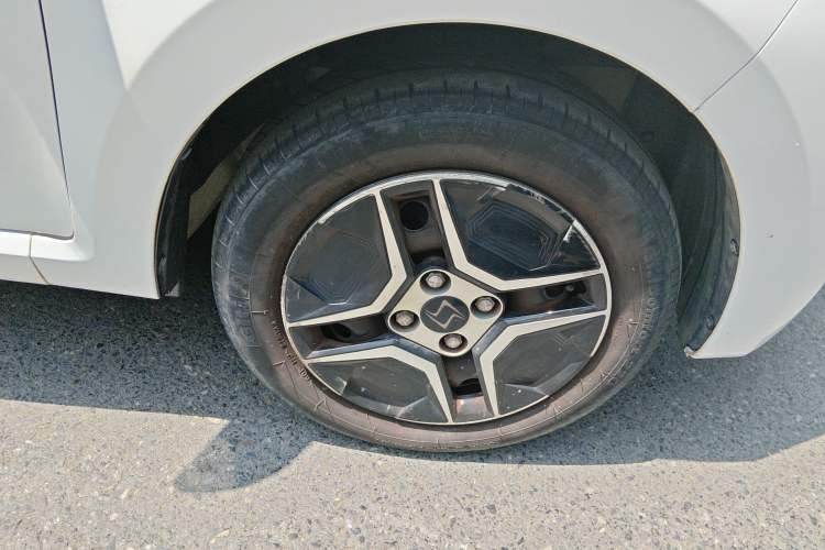 Used SOL E10X 2022 Flower Fairy Design Four-Leaf Clover