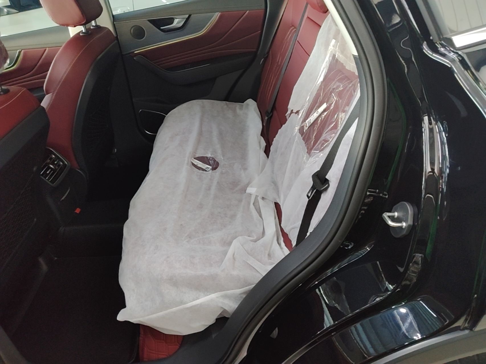 Hongqi HS5 2025 2.0T Two-Wheel Drive Flagship Pro Edition - Chinese Trim Xiang — снимка 20