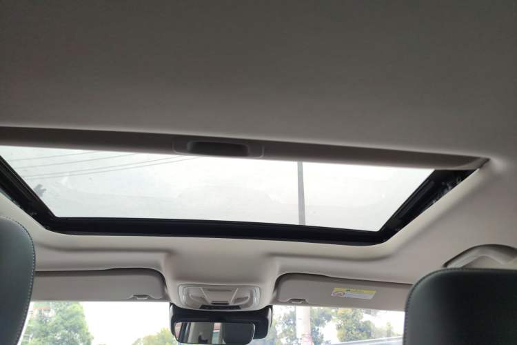 Used Tank 300 2023 Off-Road Edition 2.0T Conqueror
