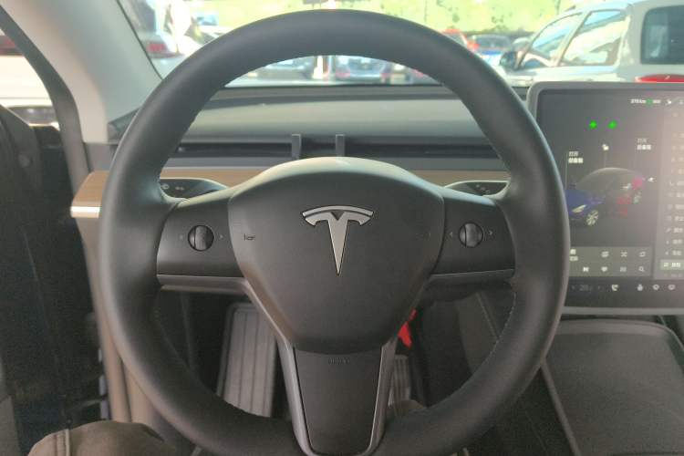 Used Tesla Model Y 2021 Standard Range Rear-Wheel Drive Version
