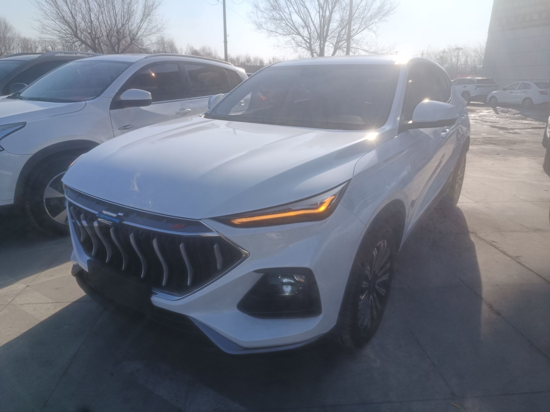 تحت مقدمة السيارة