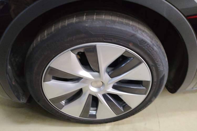 Used Tesla Model Y 2021 Standard Range Rear-Wheel Drive Version
