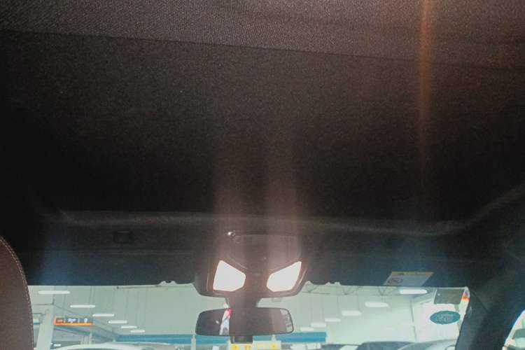 Used BMW 5 Series 2020 525Li M Sport Package Headliner