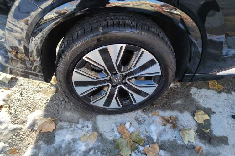 Used Landian E5 PLUS 2025 165 km Long-Range Version 5 Seats