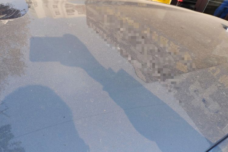 Used BYD Dolphin 2024 Honor Edition 420km Freedom Version