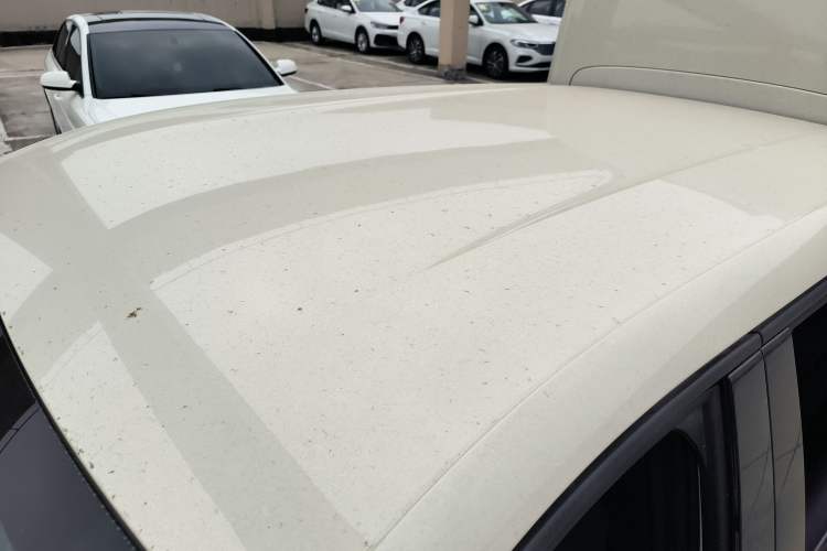 Used BYD Seagull 2024 Honor Edition 305km Freedom Version
