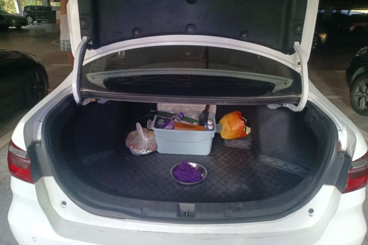 Used BYD Qin New Energy 2019 Standard Edition for Travel