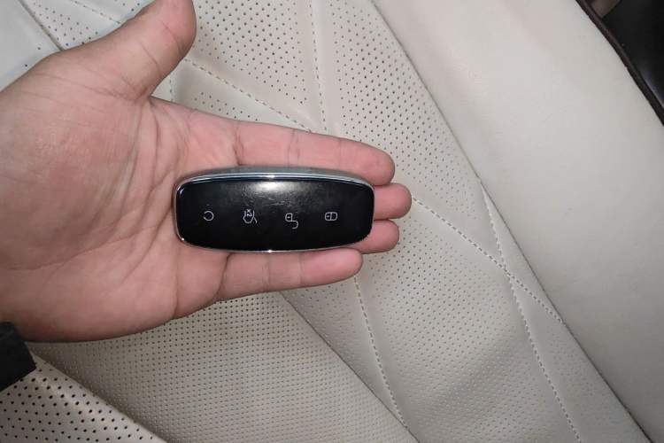 Used Denza D9 2024 DM-i 980 Four-Wheel Drive Flagship Model
