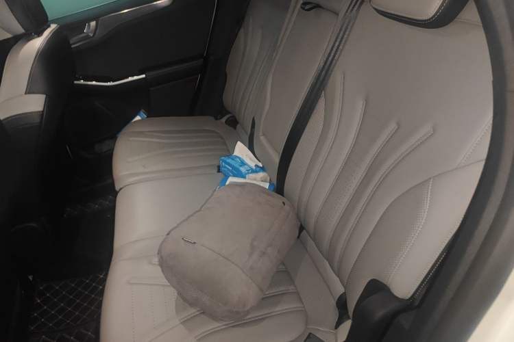 Used Ford Escape 2020 EcoBoost 245 Four-Wheel Drive Titanium Edition Left Rear Seat