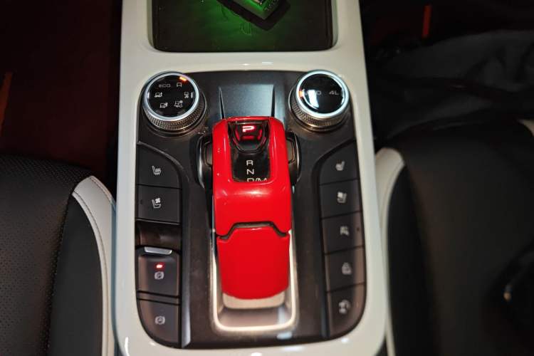 Used Tank 300 2021 City Edition 2.0T—Truly Stylish
