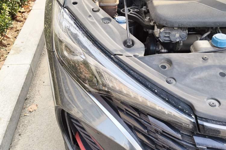 Used CHANGAN Eado 2022 PLUS Blue Whale NE 1.4T GDI DCT Prestige Edition
