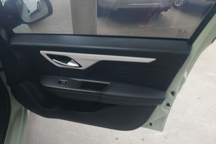 Used SOL E10X 2022 Flower Fairy Style Baby's Breath
