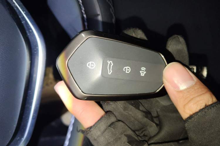 Used Livan 7 2024 450km Executive Version
