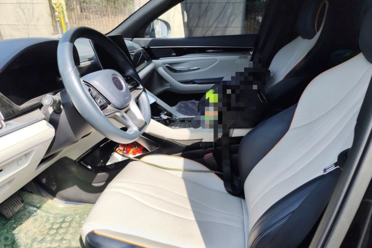 Used BYD Song PLUS New Energy 2021 DM-i 110KM Flagship PLUS Left Front Seat