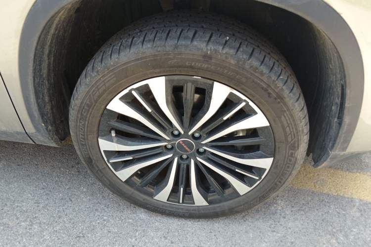 Used EXEED Lingyun 2024 300T Two-Wheel Drive Starlight Edition
