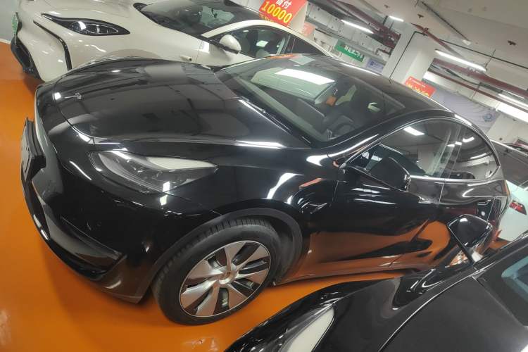 Used Tesla Model Y 2021 Standard Range Rear-Wheel Drive Version
