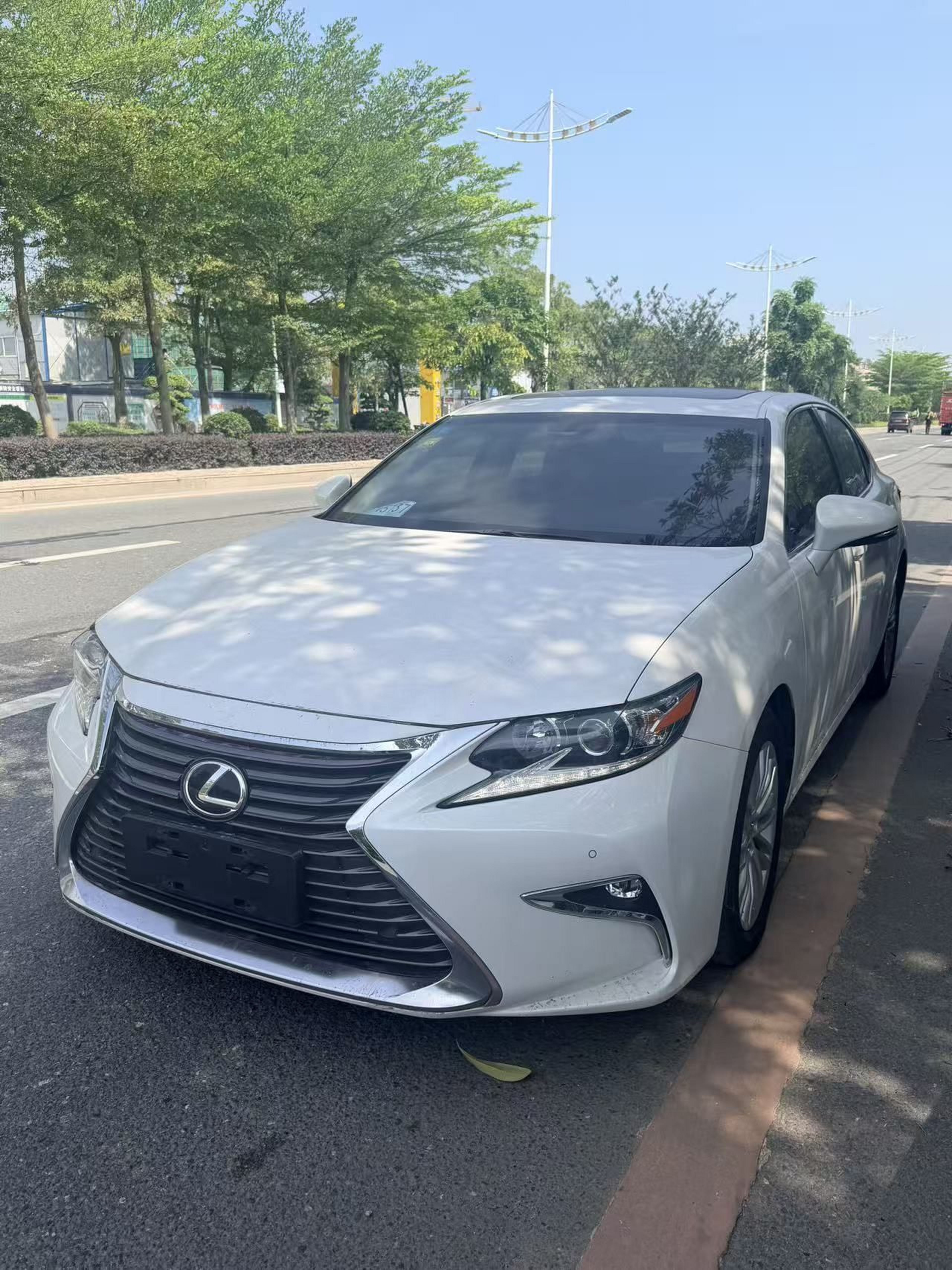 Under Front Bumper