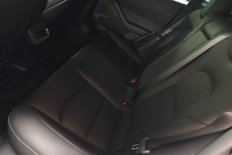 Used Tesla Model 3 2021 Revised Version Standard Range Rear-Wheel Drive Upgraded Edition 3D1