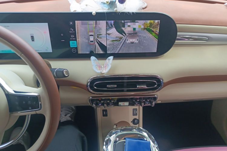 Used ORA Ballet Cat 2023 401 km Luxury Version Audio And AC Panel