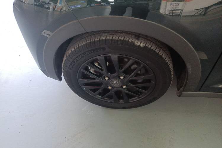 Used Chery QQ Little Ant 2024 Facelifted 321km Beloved Edition Exterior 3