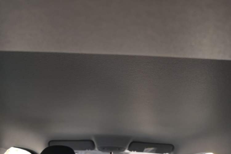 Used Leapmotor T03 2025 403 Comfort Edition Headliner