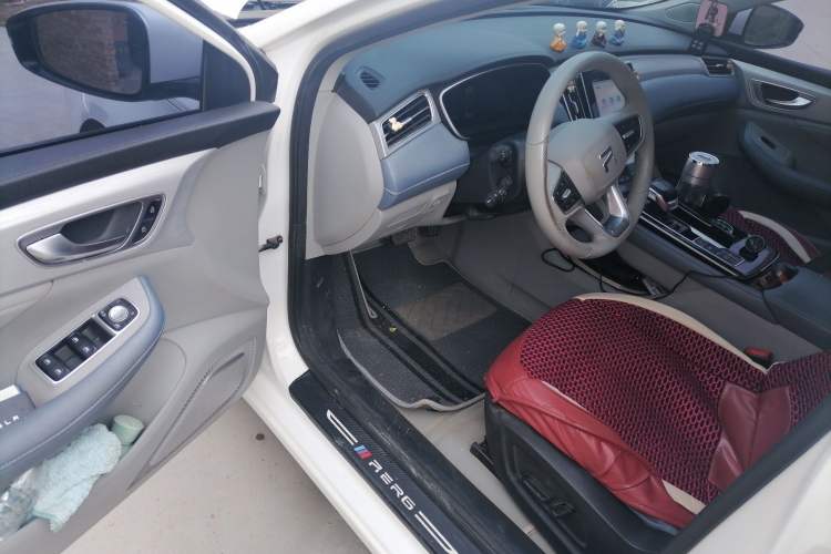 Used Rising ER6 2021 New Dynamic Edition 620km Smart Enjoyment Version
