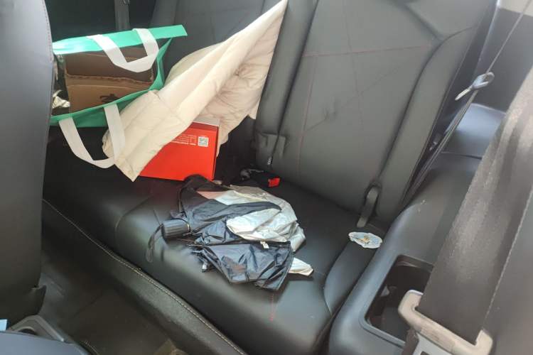 Used Chery Little Ant 2022 Sweet Pink Edition Half-Sugar Version Lithium Iron Phosphate 30 kW 301 km Left Rear Seat