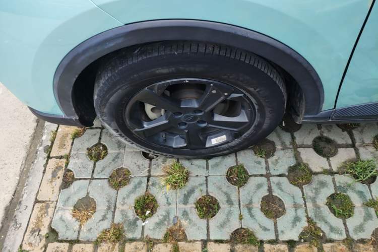 Used Geometry E Firefly 2022 320KM Cute Tiger 4-Seater